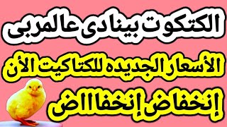 اسعار الكتاكيت اليوم | سعر الكتكوت الابيض اليوم الاثنين ٢٢-٥-٢٠٢٣ في الشركات في مصر