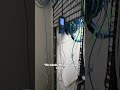 250+ Cables, ZERO Organization… Structured Cabling Nightmare (Before) 😳