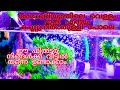 aquariaum filter/diy home made/വാട്ടർ ഫിൽറ്റർ / how to make aquarium filter/experiment/water purifer