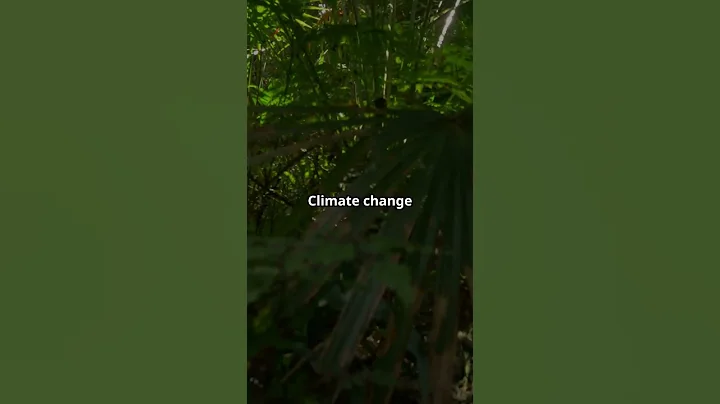 Understanding Climate Change in 60 Seconds by Science Shorts