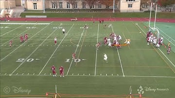 Magnetoquasistatic Position and Orientation Tracking