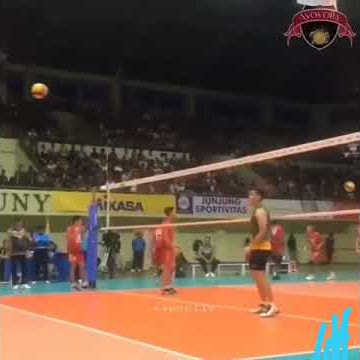 Story wa full 30 detik volly