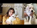 I ADOPTED A PUPPY | STORYTIME + VLOG
