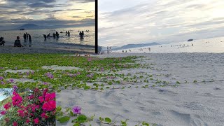 Nhiều người Việt Nam, cũng chưa biết có bãi biển đẹp như thế  ( Morning at the beach, local people )