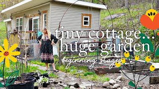 Tiny Cottage ... Huge Garden. Is it too much for me?? (story 34)