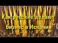 Как русские делают бизнес в Испании, русский магази и фабрика по копчению рыбы