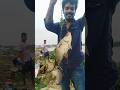 best rog fish catching and funny moment # shorts