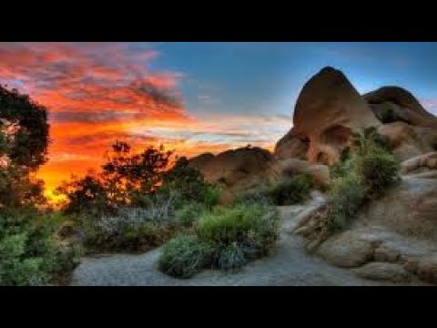 Video: Cách Tham quan Thung lũng Coachella và Sa mạc Colorado