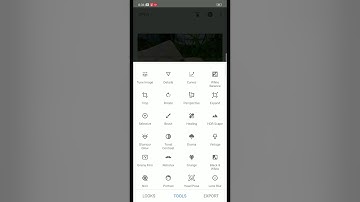 How to edit a Macro photos by using Snapseed
