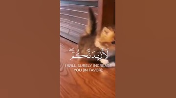 وإِذ تأَذن ربكُمْ لئن شكرْتُم لأزيدنّكم ۖ ولئن كفرْتمْ إِنَّ عَذابِي لشديد (7)||سورة إبراهيم