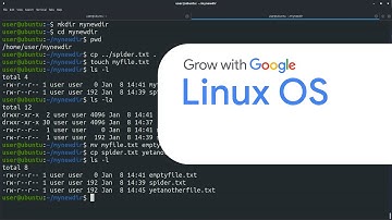 The Linux Operating System and Bashing | Google IT Automation with Python Certificate
