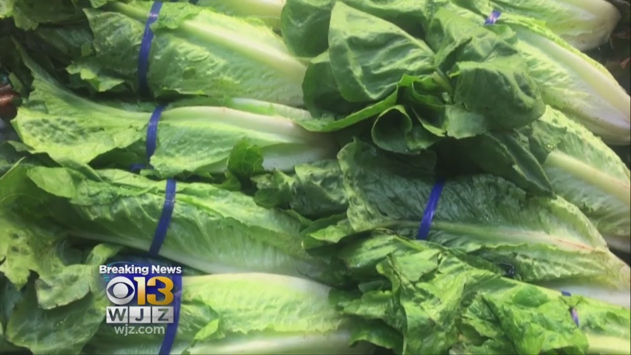 How romaine lettuce turned deadly