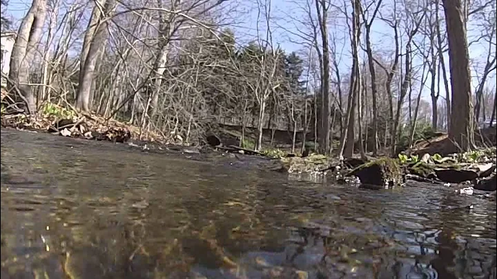GoPro Hero3 White edition underwater test