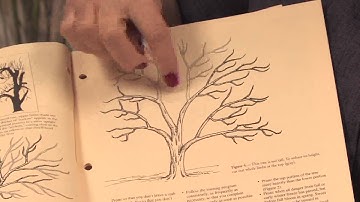 Gardening Tips : How to Prune Colonnade Apple Trees