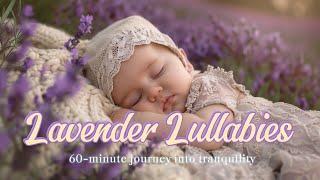 Lullaby for Babies To Go To Sleep | Lavender Lullabies For Sweet Dreams | Sleep Lullaby Song ♫♫♫