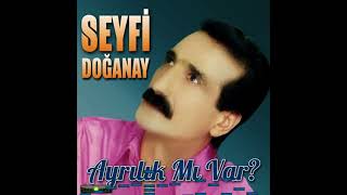 Seyfi Doğanay - Bir Sevdaya Düştüm