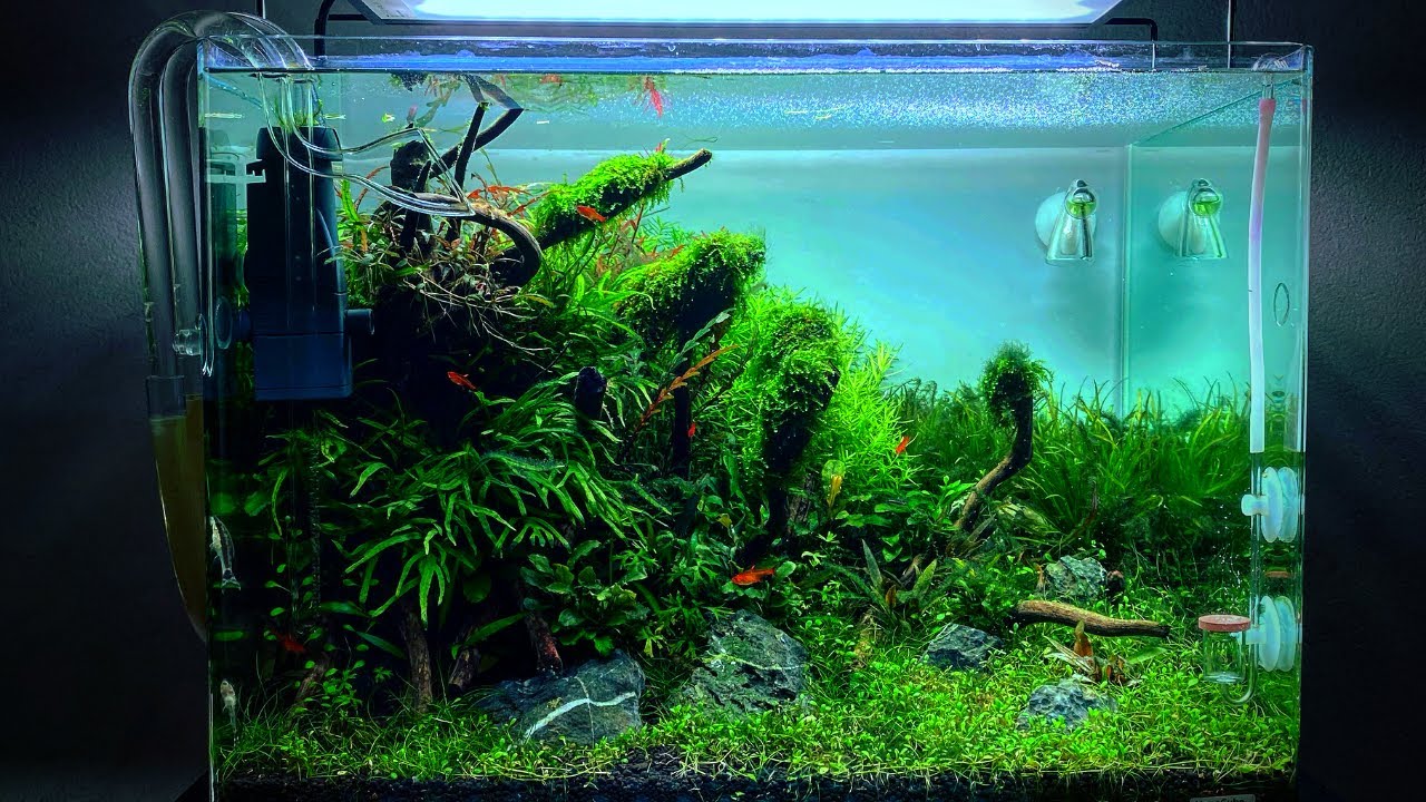 Nano Tank Plant Pro - Dennerle (EN)