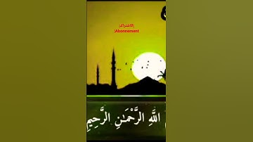 ما تيسر من (سورة الجاثية)..