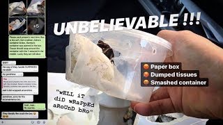 STOP PACKING ANIMALS in PAPER BOXES !!! ~ [RANT]