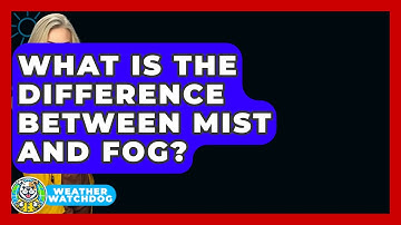 What Is The Difference Between Mist And Fog? - Weather Watchdog