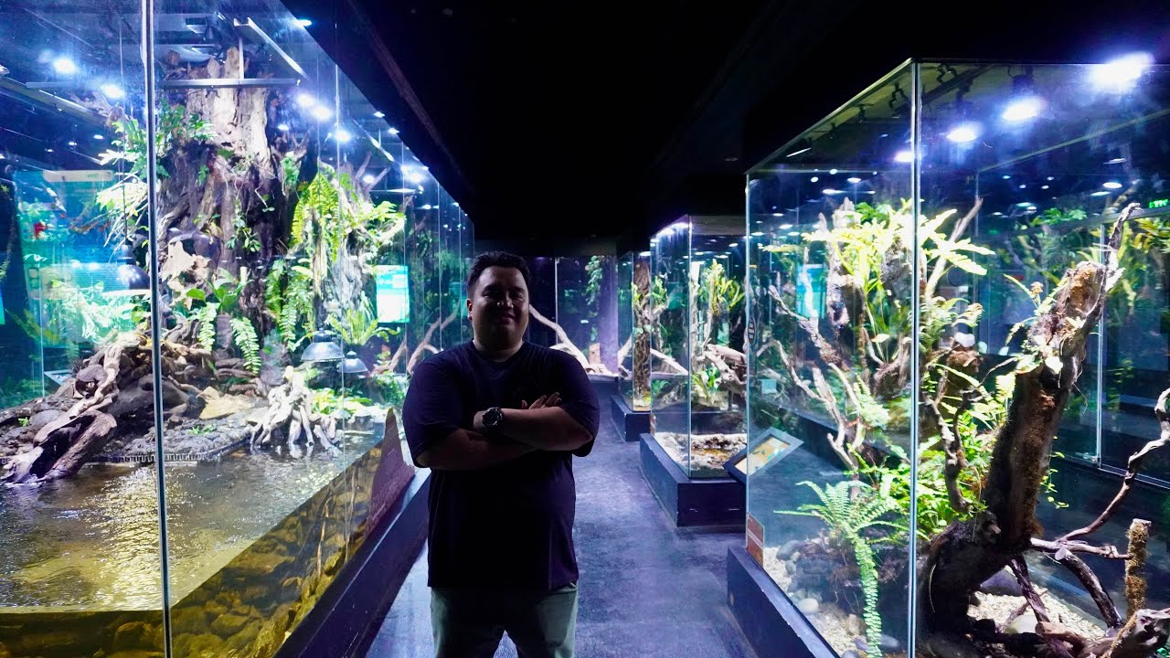 Gallery Reptil Tercantik di Indonesia!!