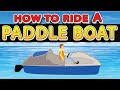 Paddle Boat Riding Quiz