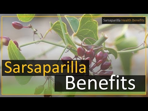 Sarsaparilla health benefits