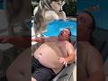 Dog Pool Challenge#cuteanimals  #funnydogs #chihuahua #corgi #malamuteのサムネイル