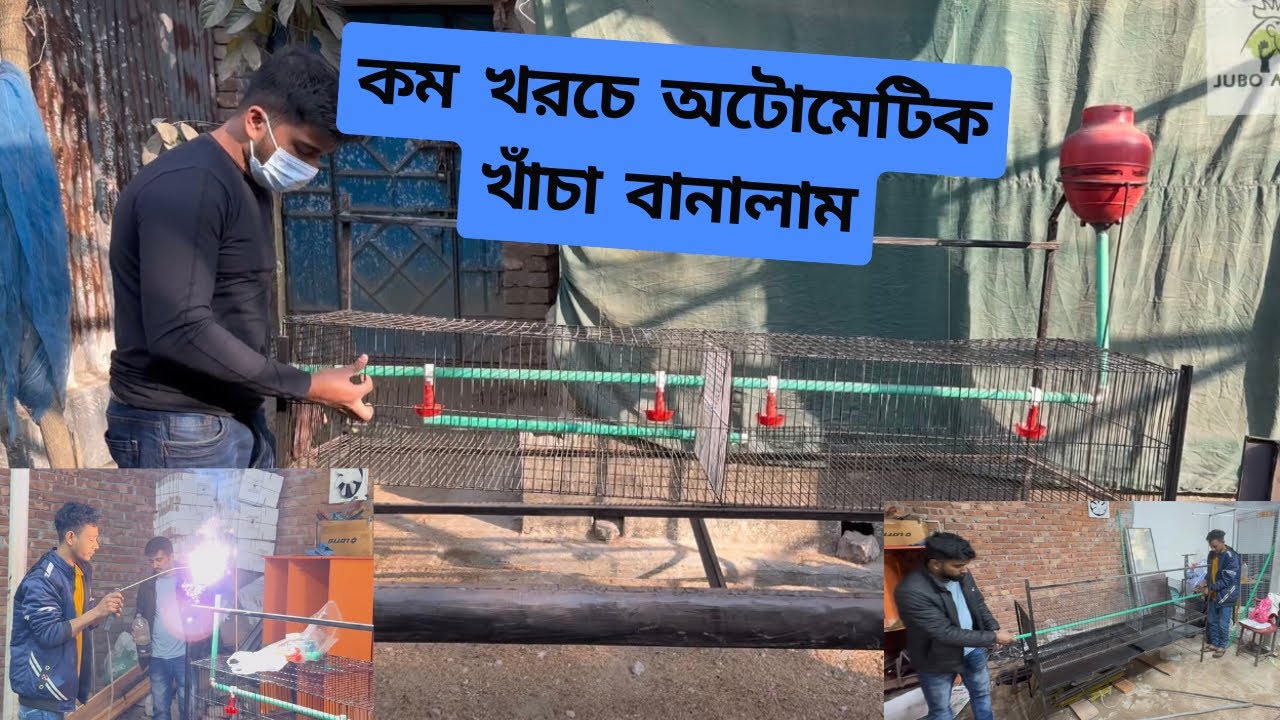 নতুন অটোমেটিক খাঁচা নিয়ে আসলাম খামারে । কম খরচে অটোমেটিক খাচা কিভাবে বানাবেন?