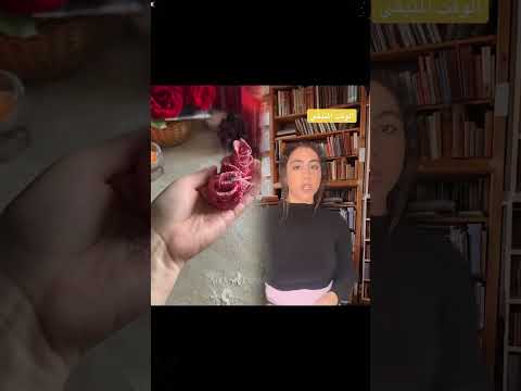 هل سيعاملون ها بنفس الطريقة إذا لم تعد تملك شيئا  