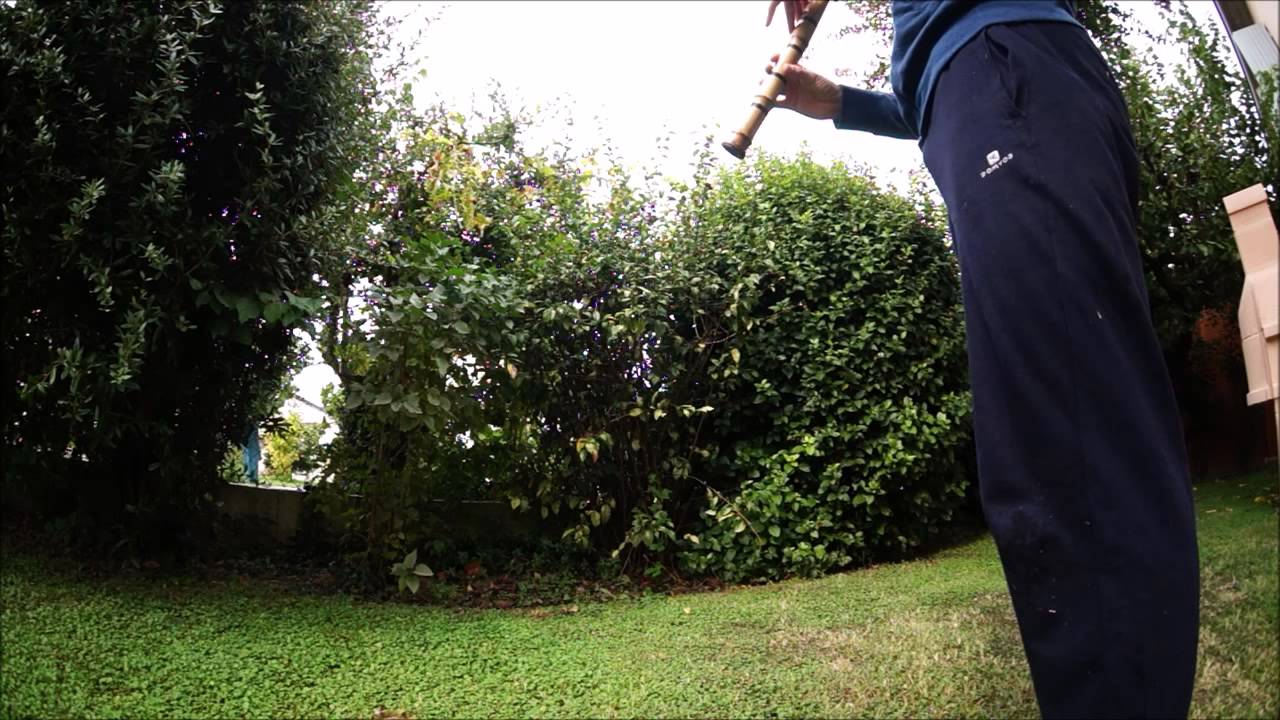 blowing zen with a lot of mosquitos and chatting woman