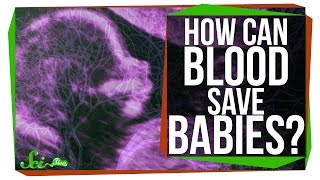 How Can One Person's Blood Save 2 Million Babies? How Can One Person's Blood Save 2 Million Babies?