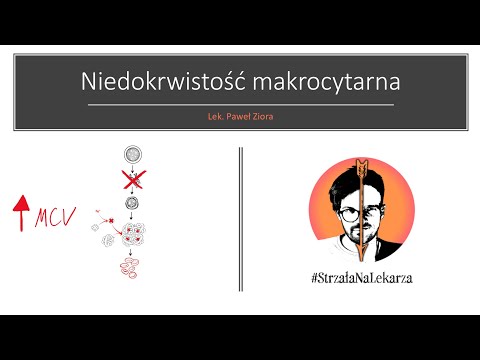 Wideo: Kobalamina Dla Kotów Z Problemami Trawiennymi - Suplementy Kobalaminy Na Problemy Z GI U Kotów