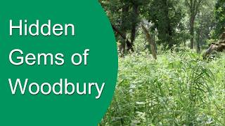 Hidden Gems of Woodbury