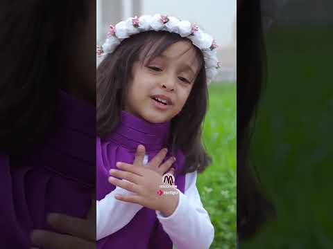 صلوا على هادينا & صل الله على طه & قمر سيدنا النبي #ميدلي_في_مدح_المصطفى