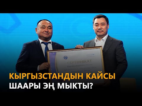 Video: Кайсы браузер мыкты