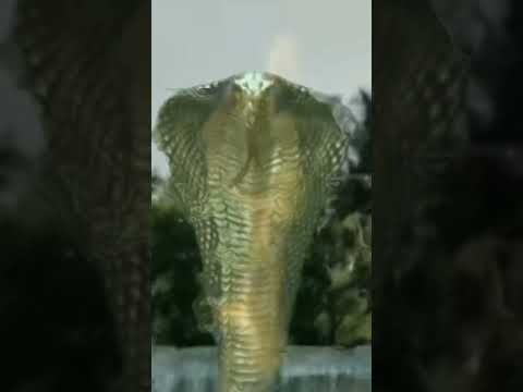 Naagin 6 Full Episode 138