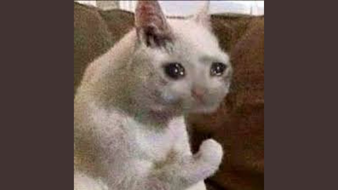 Guarda KOMBAT su YouTube Guarda KOMBAT su YouTube