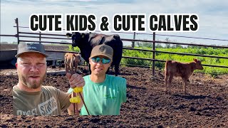 Calving 2024 | 4th Cutting Alfalfa | Building Fence