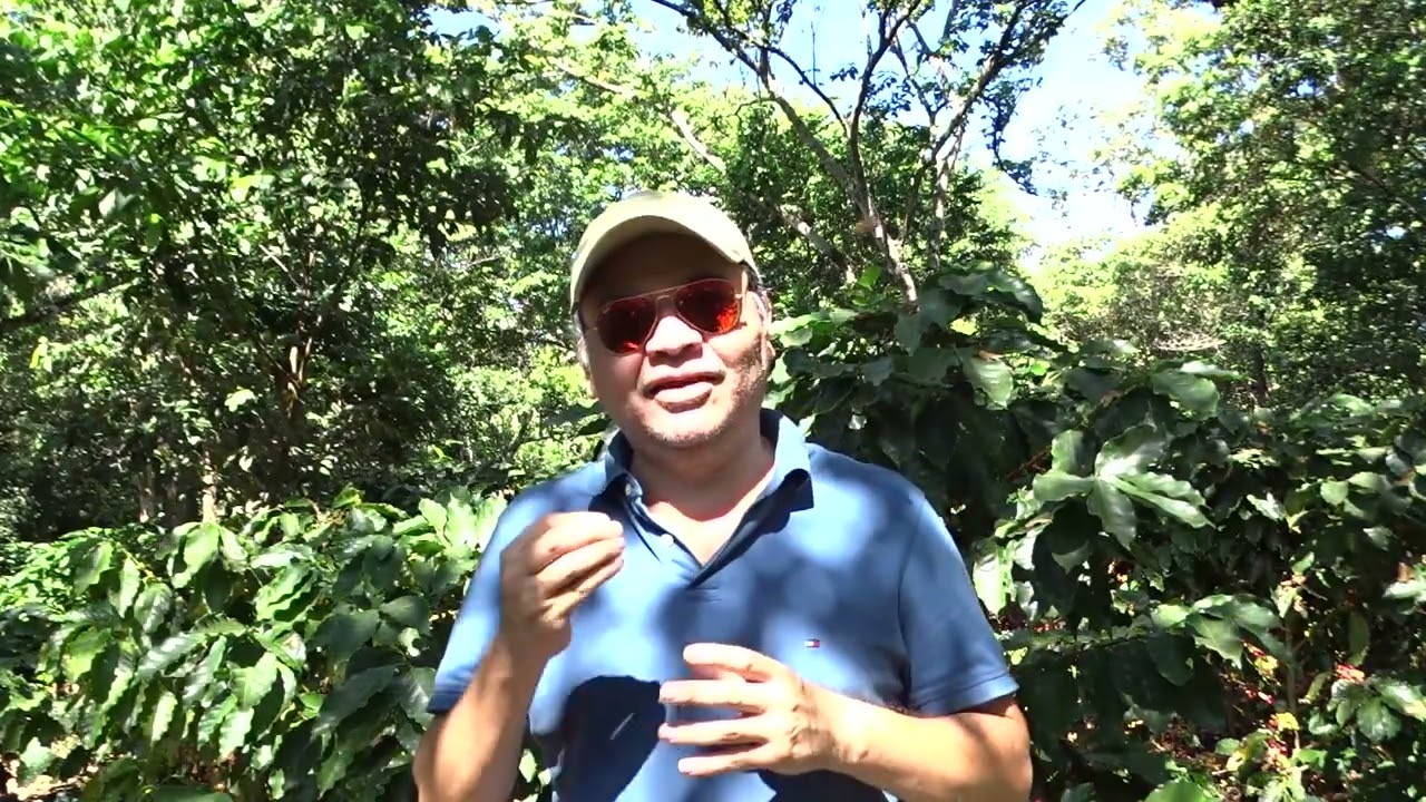 La medida de 50 cm x 3 m de calle los tallos en gruesa y producís mas en poca tierras es el futuro.