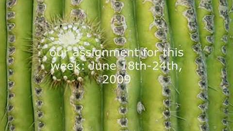 Planetary World Service (June 18-24, 2009): Iran Presidential Elections