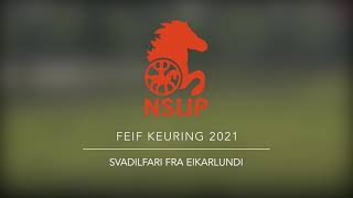 NSIJP FEIF KEURING 2021 - Svadilfari fra Eikarlundi