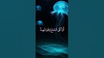 الشيخ محمود علي البنا سورة ق رواية خلف عن حمزة #مقام_النهاوند