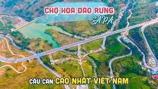Khám phá con đường tuyệt đẹp từ Chợ Hoa Đào Rừng Sapa đến Cầu Cạn có trụ cao nhất Việt Nam