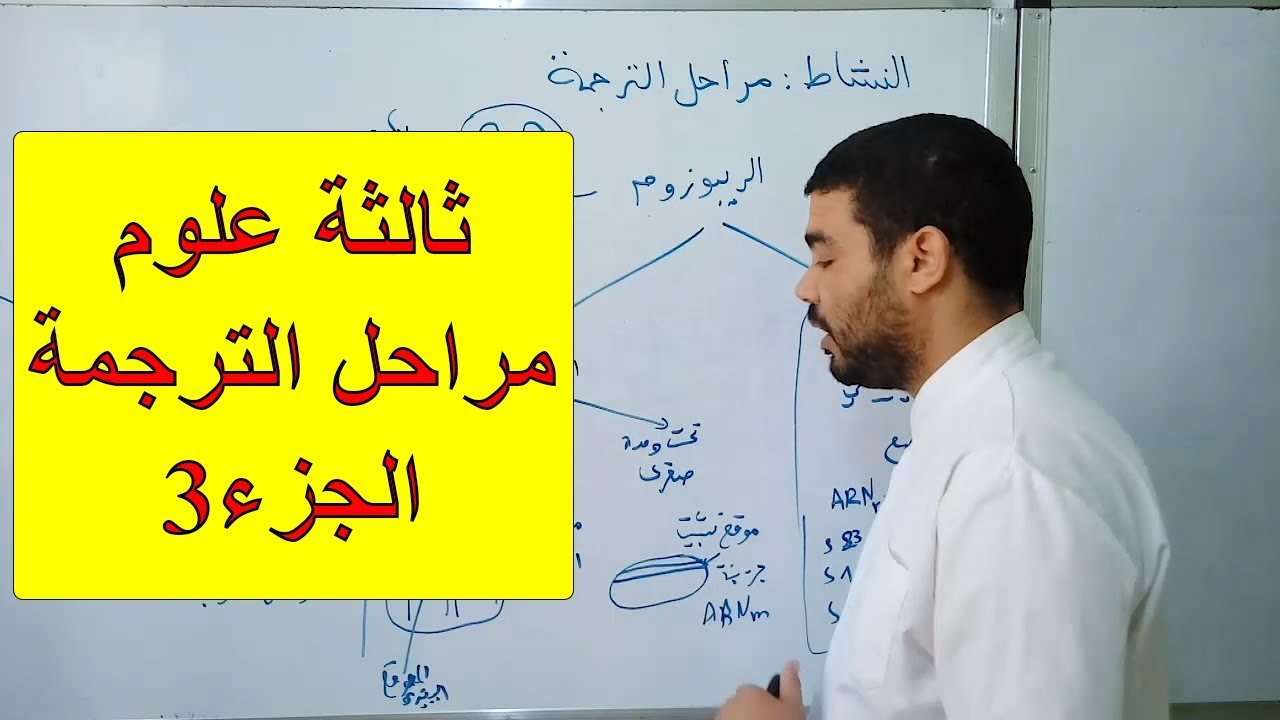مراحل الترجمة (الجزء3)