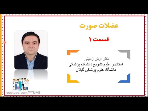 تصویری: استخوان هایوئید یعنی چه؟