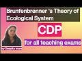 Brunfenbrenner's Theory of ecological system(ब्रोफेनब्रेनर का पारिस्थितिक सिद्धांत)class-12 ctet2025