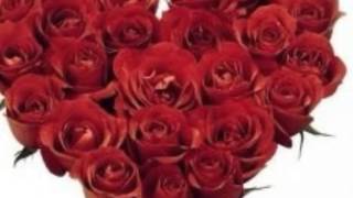 Askim Sevgililer Gunu Kutlu Olsun Seni Seviyorum