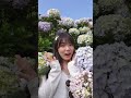 季節限定的  #夢幻藍紫色天堂【📍Follow新北】