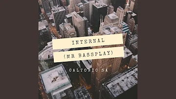 Internal (Mr Bassplay)